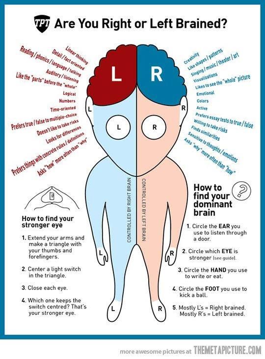 left brain vs right brain test